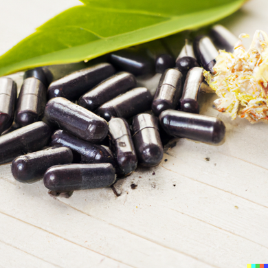 Elderberry (Organic) - 100 Capsules