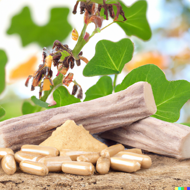 Licorice Root (Organic) - 100 Capsules